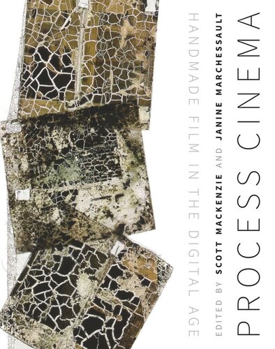 Process Cinema Handmade Film In The Digital Age Scott Mackenzie Editor Janine Marchessault Editor