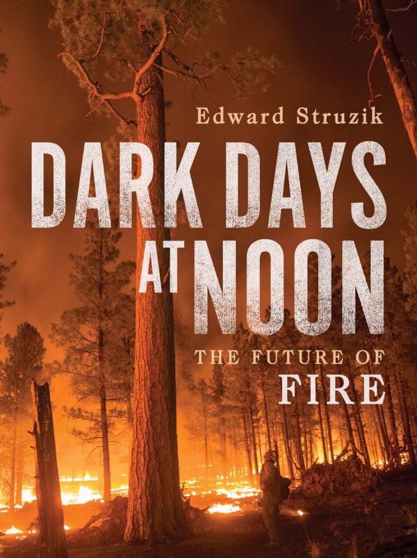 Dark Days At Noon The Future Of Fire Edward Struzik