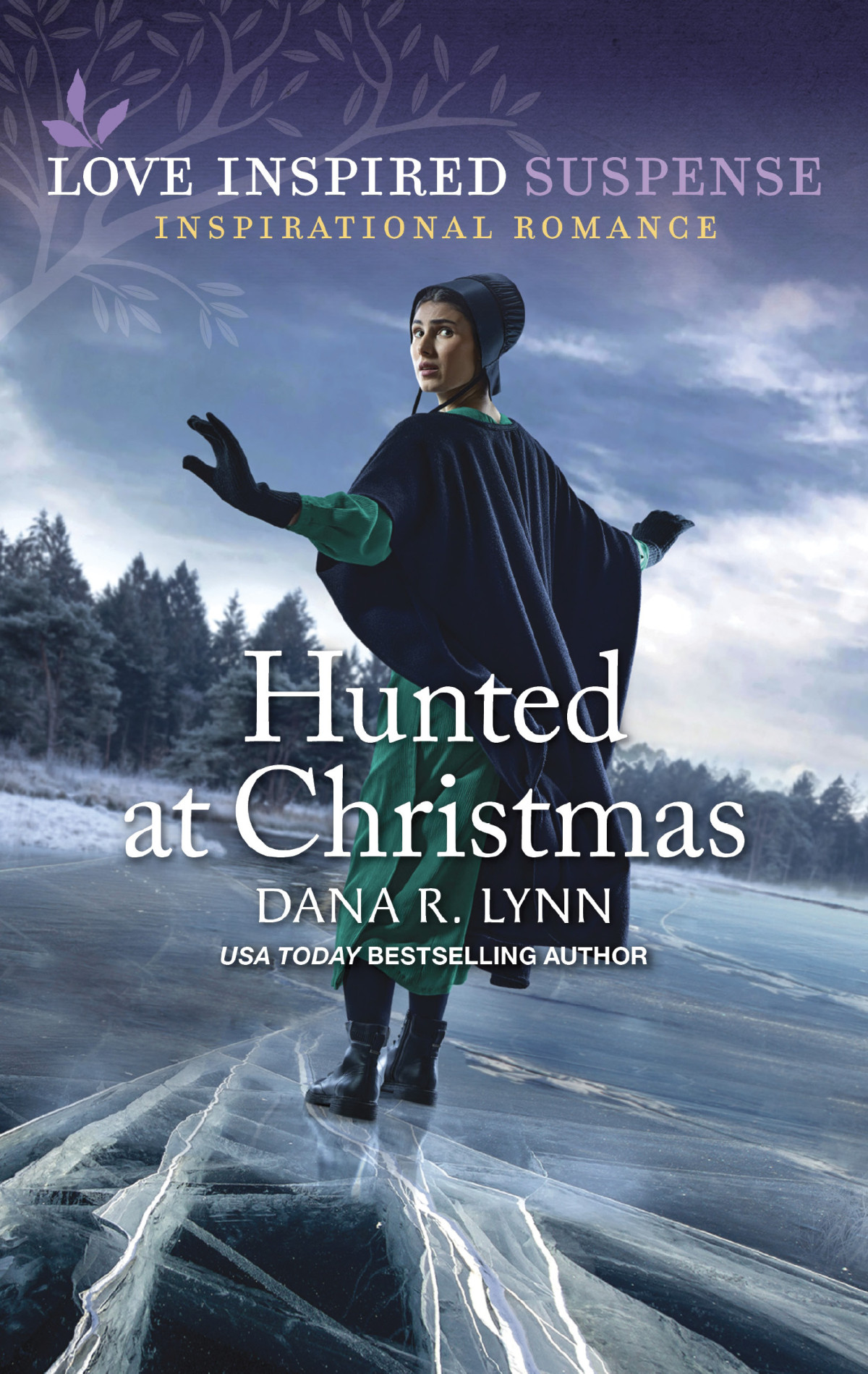 Hunted At Christmas Dana R Lynn