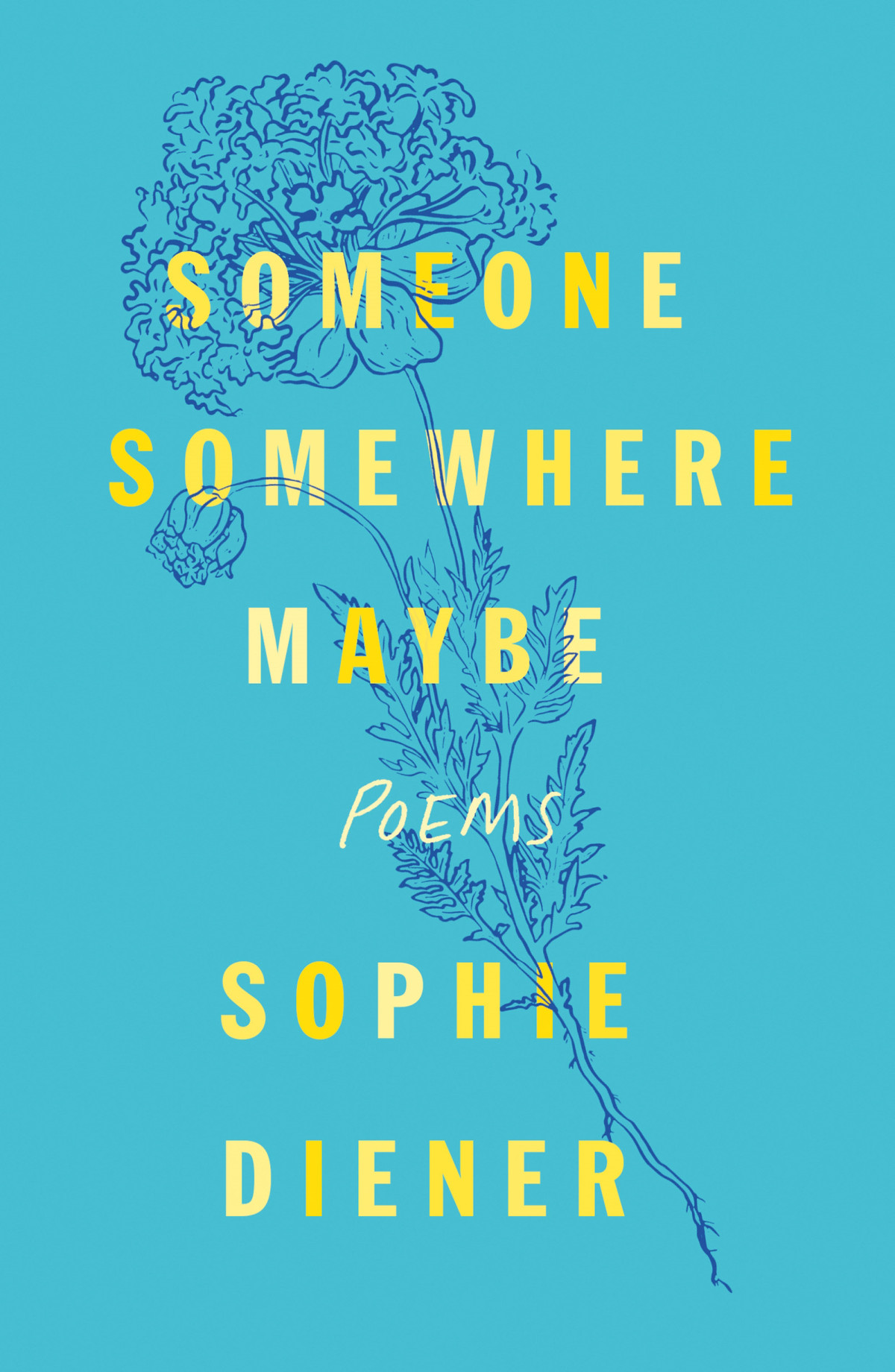 Someone Somewhere Maybe Sophie Diener