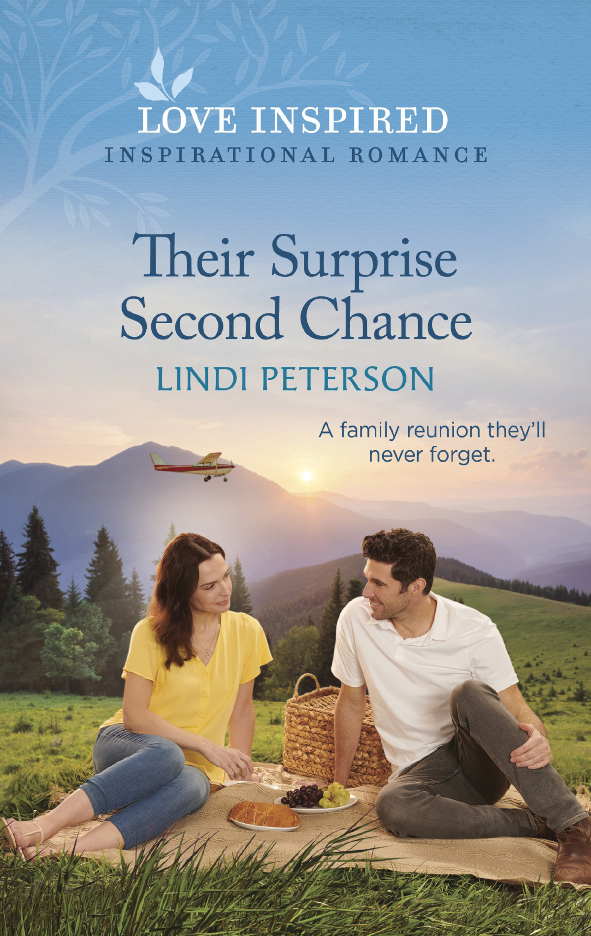 Their Surprise Second Chance Lindi Peterson