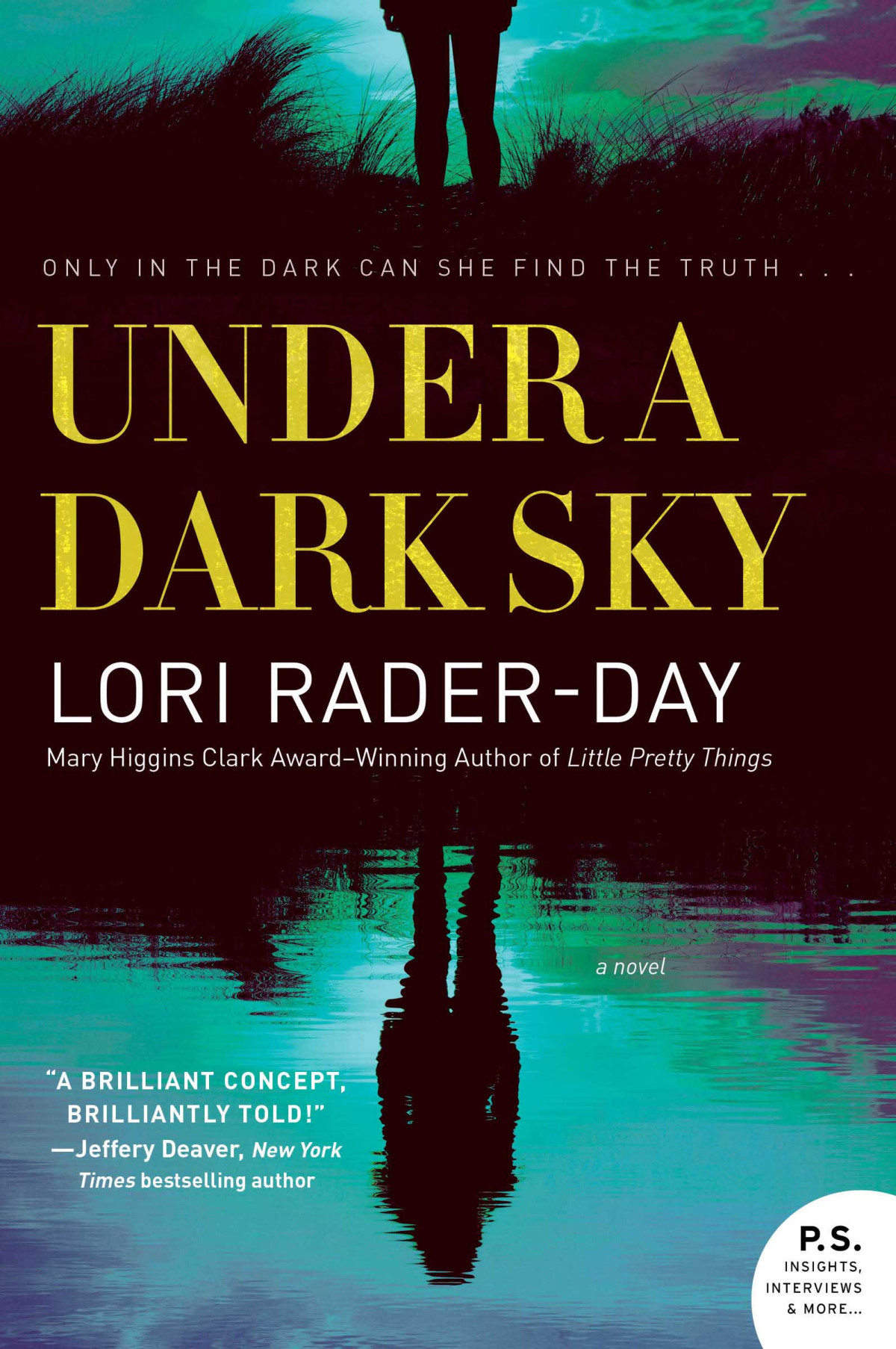 Under A Dark Sky Lori Raderday