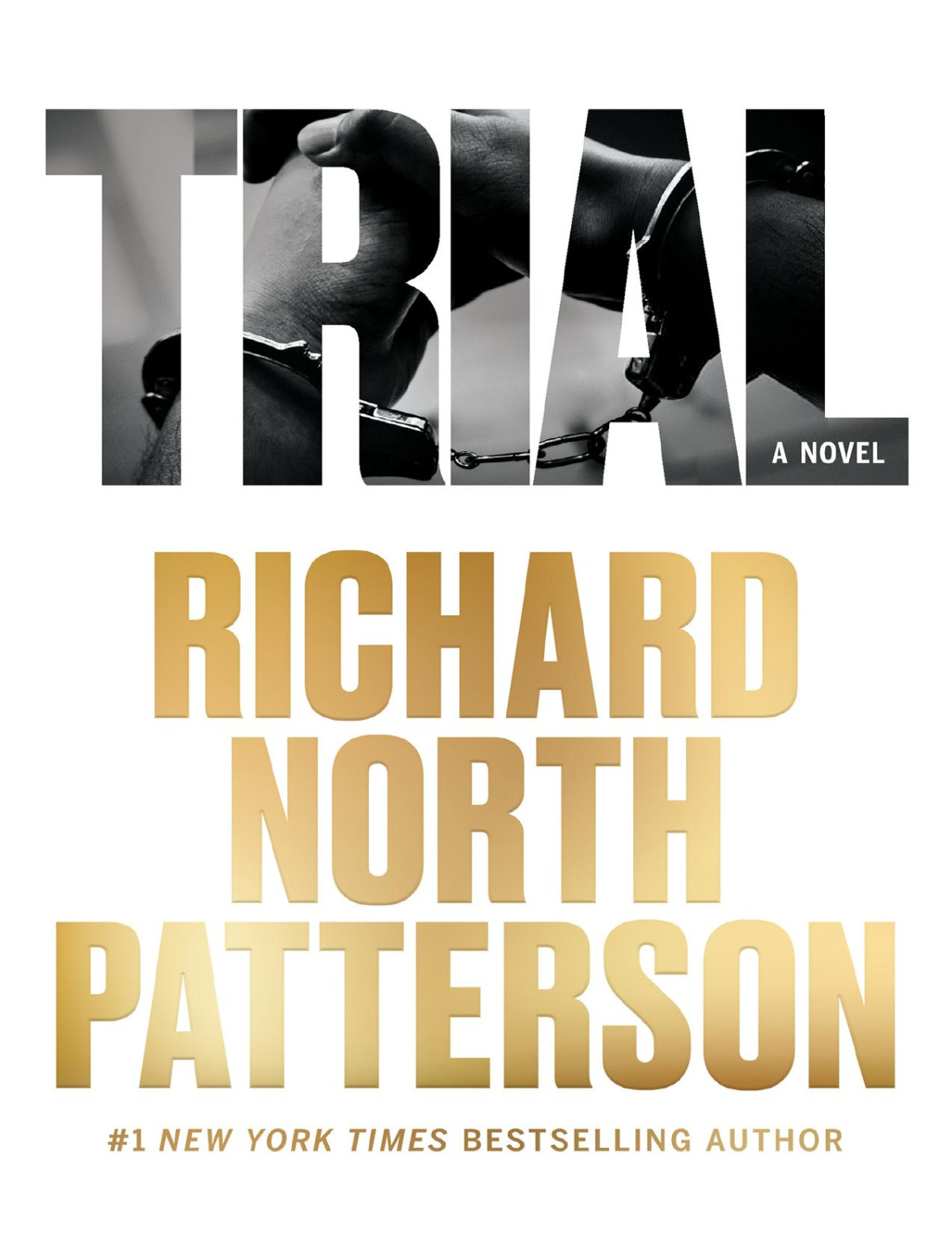 Trial Richard North Patterson