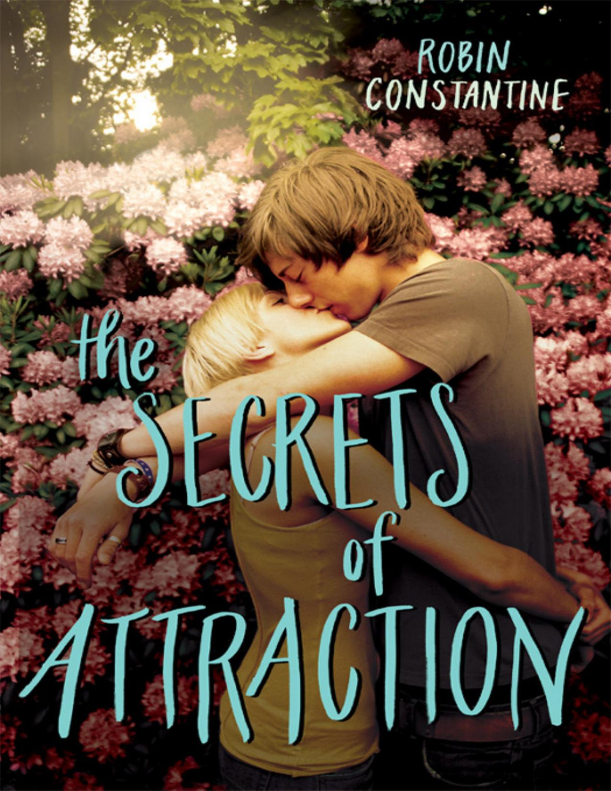 The Secrets Of Attraction Robin Constantine