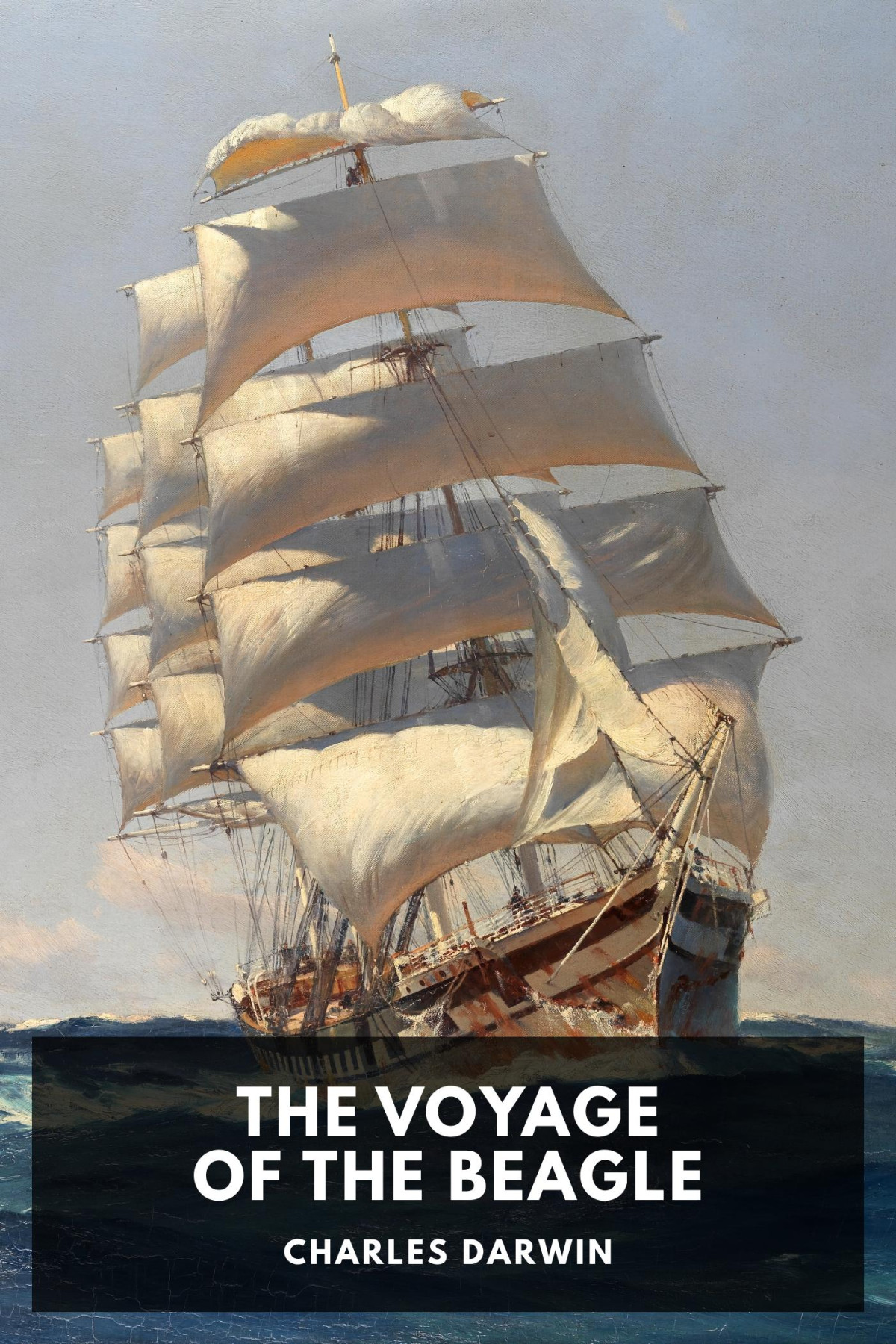 The Voyage Of The Beagle Charles Darwin