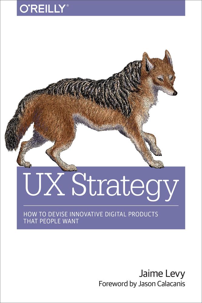 Ux Strategy How To Devise Innovative Digital Products That People Want Jaime Levy