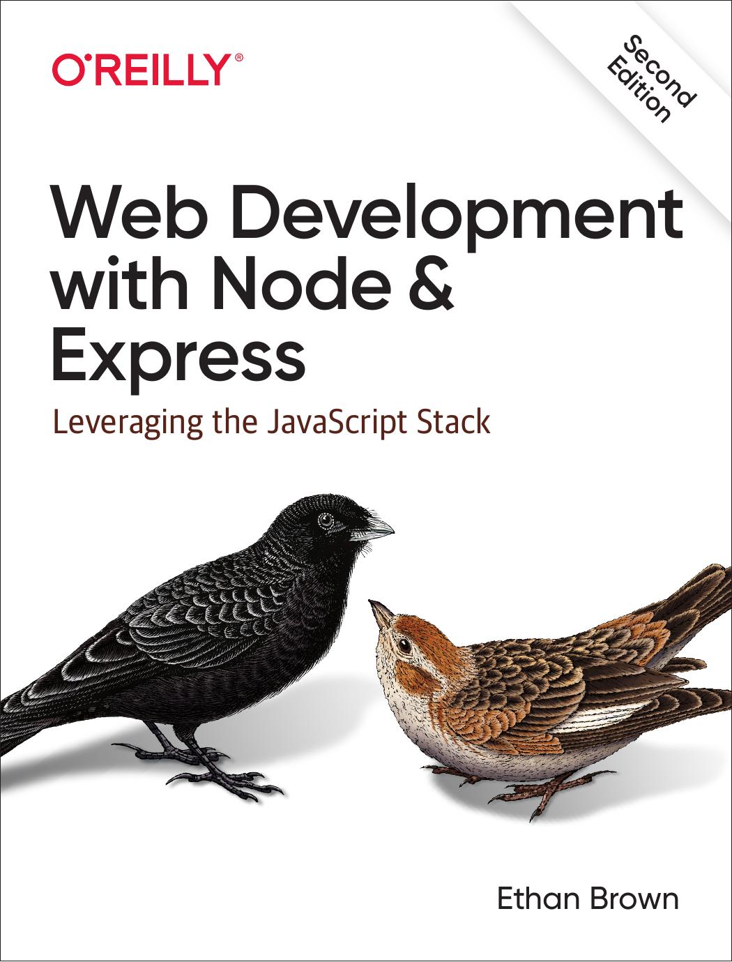 Web Development With Node And Express Leveraging The Javascript Stack Ethan Brown