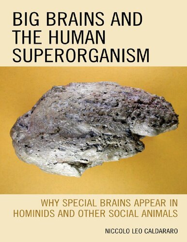Big Brains And The Human Superorganism Niccolo Leo Caldararo