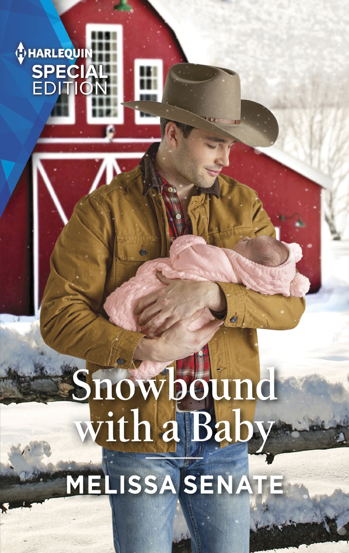 Snowbound With A Baby Melissa Senate