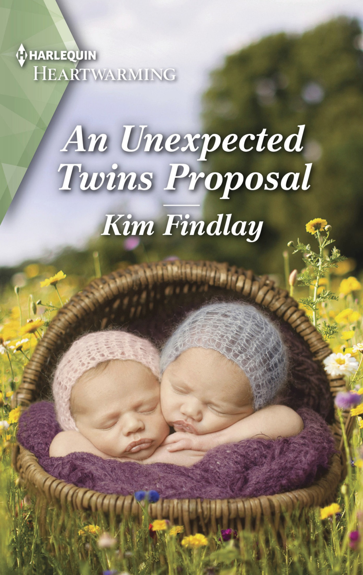 Cc05 An Unexpected Twins Proposal Kim Findlay