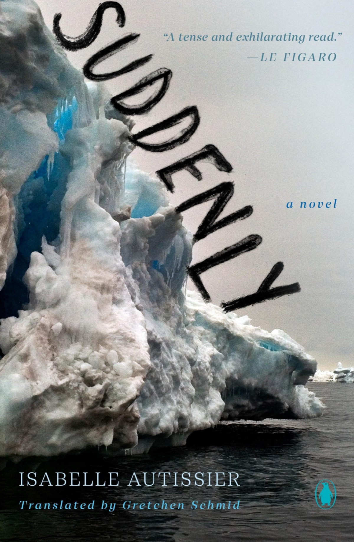 Suddenly A Novel Isabelle Autissier