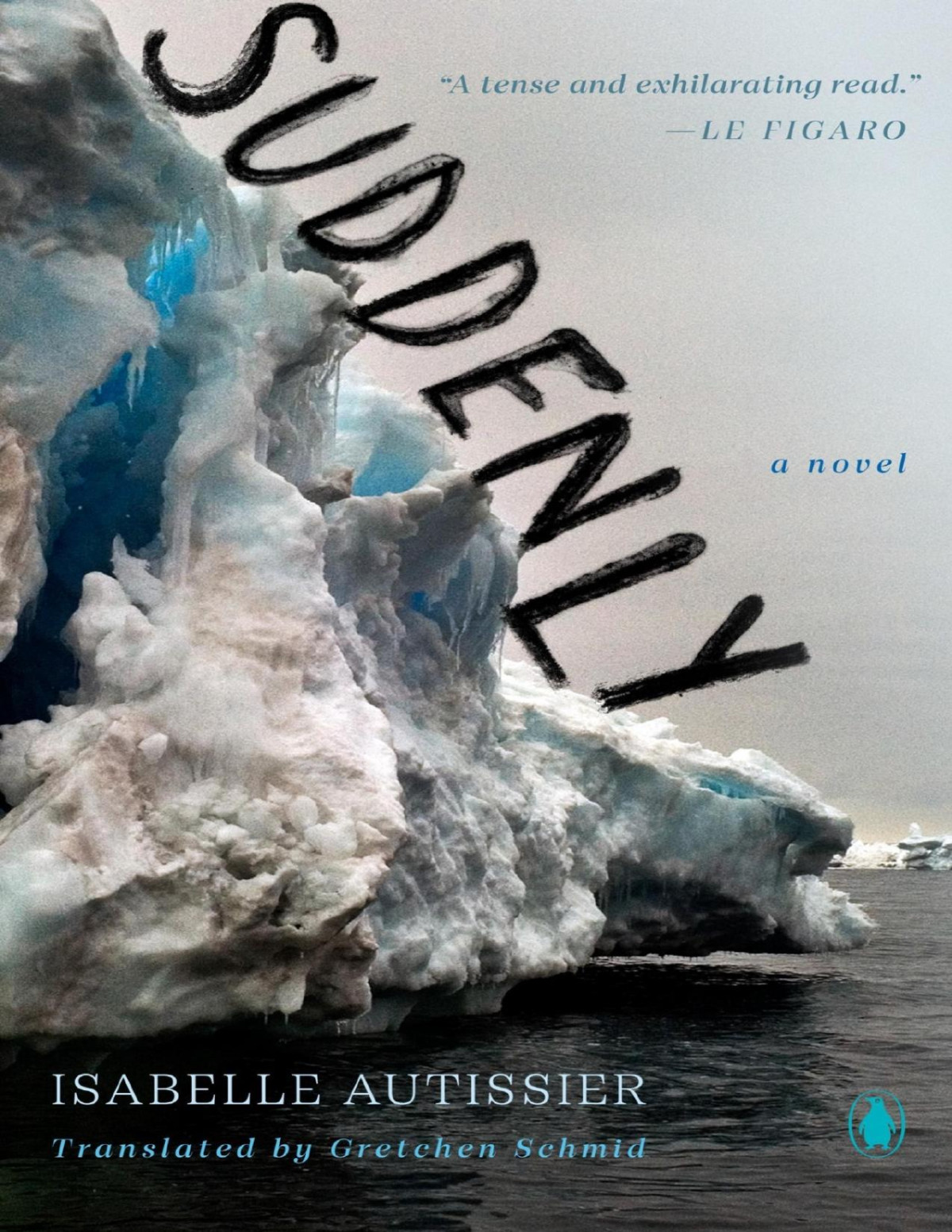 Suddenly A Novel Isabelle Autissier