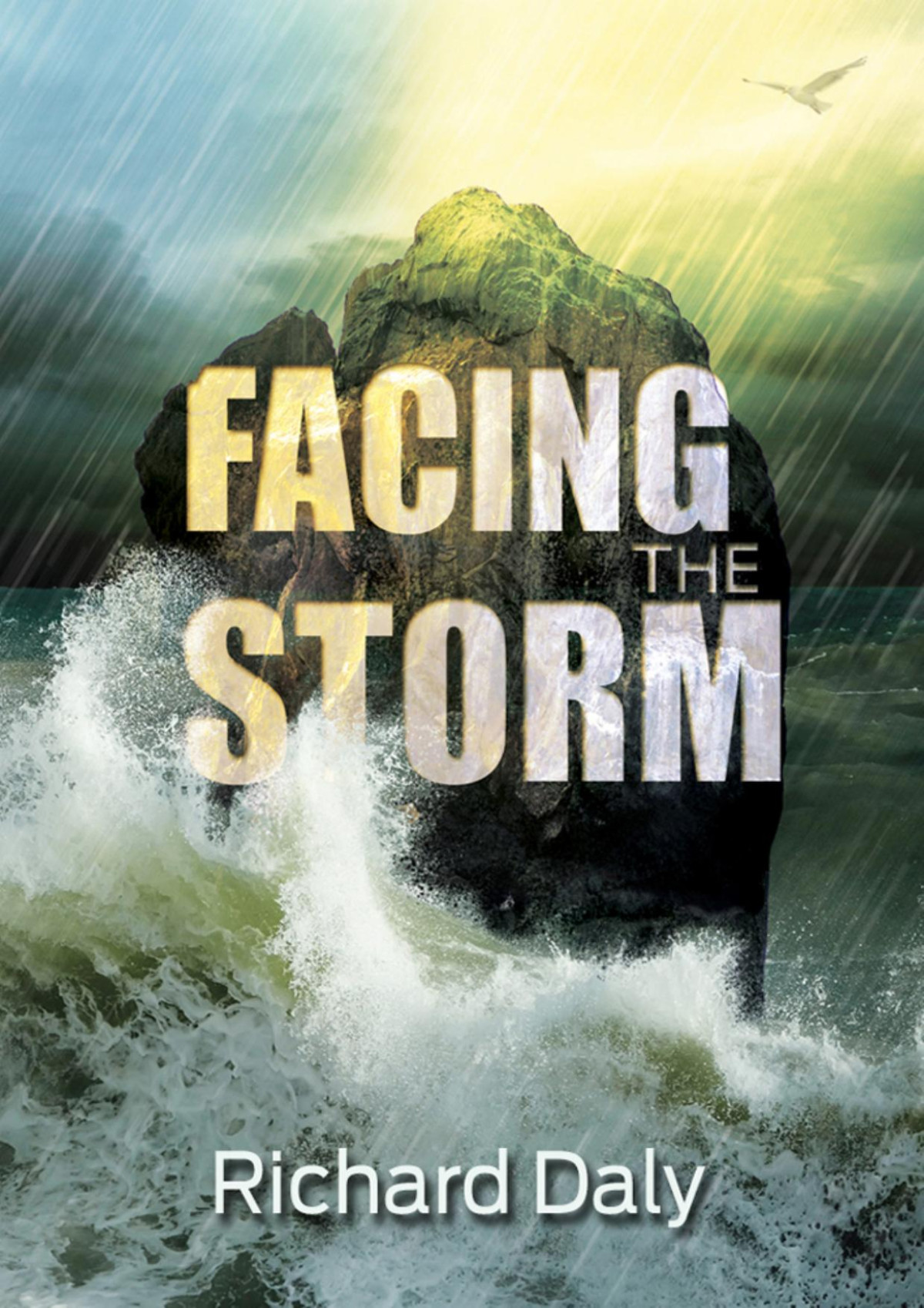 Facing The Storm Richard Daly