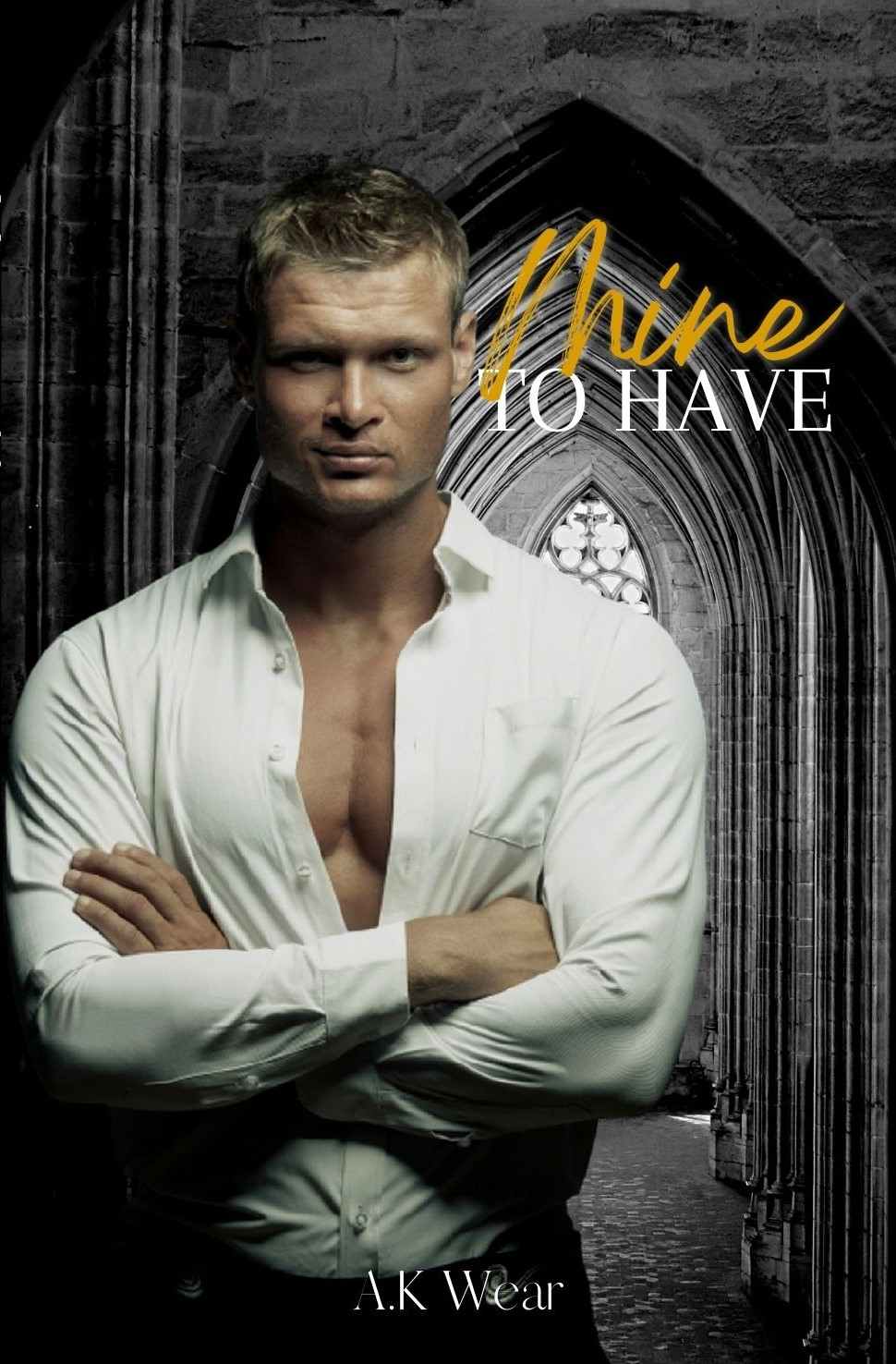 Mine To Have Bloodline Of New York Book 2 Ak Wear