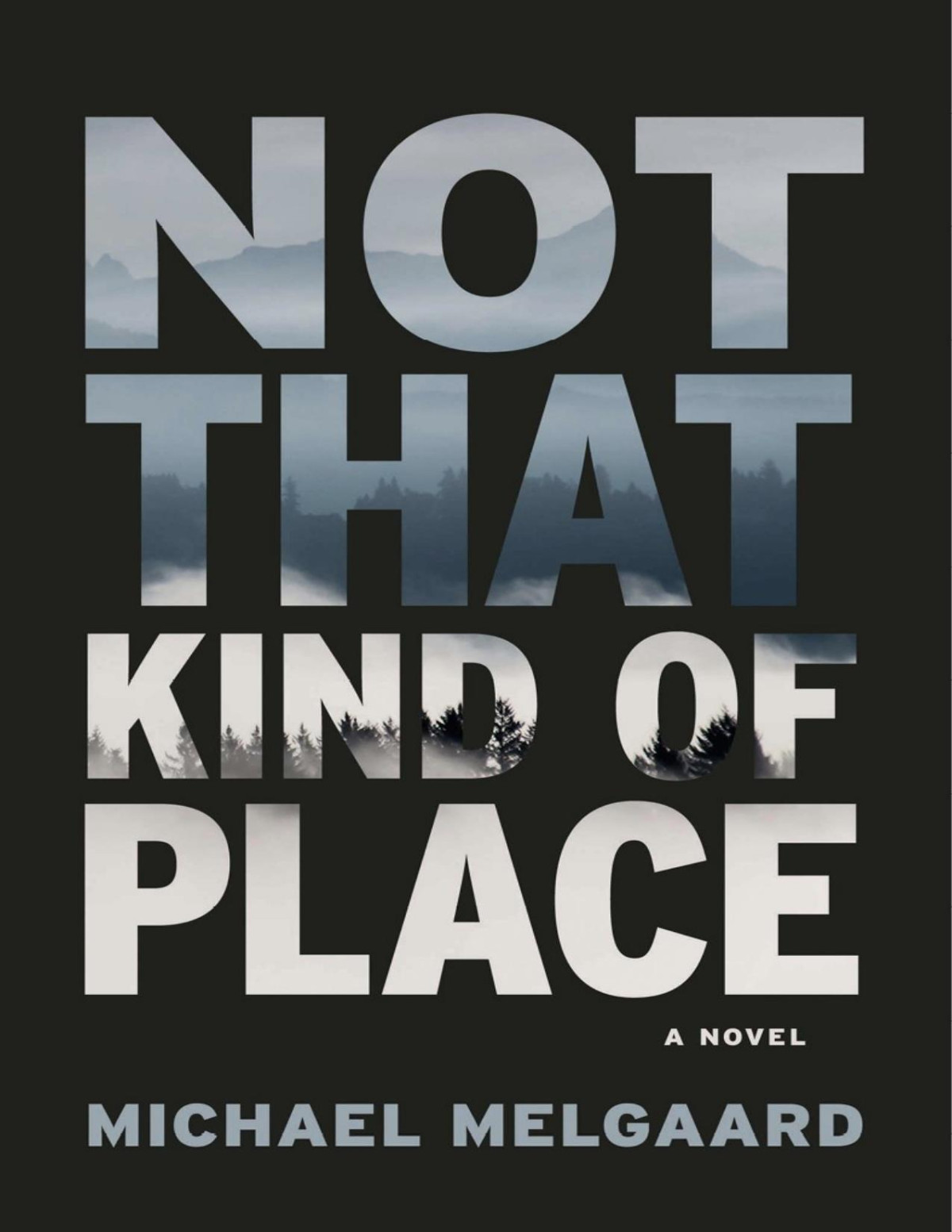 Not That Kind Of Place 1st Edition Michael Melgaard