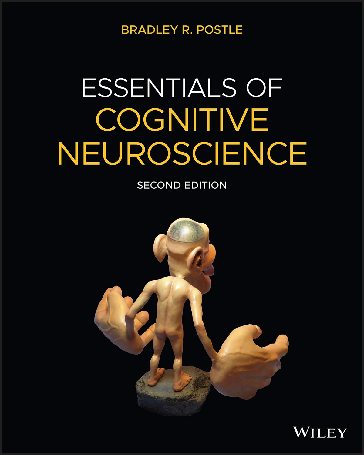 Essentials Of Cognitive Neuroscience 2nd Edition 2nd Edition Bradley R Postle