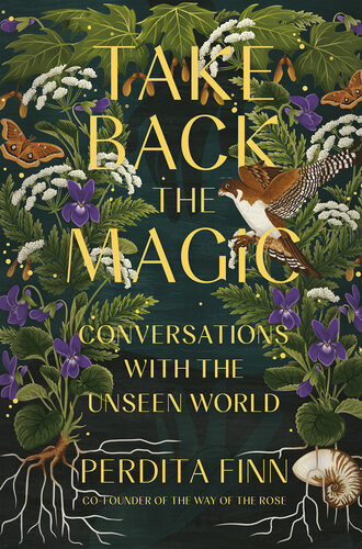 Take Back The Magic Conversations With The Unseen World Perdita Finn