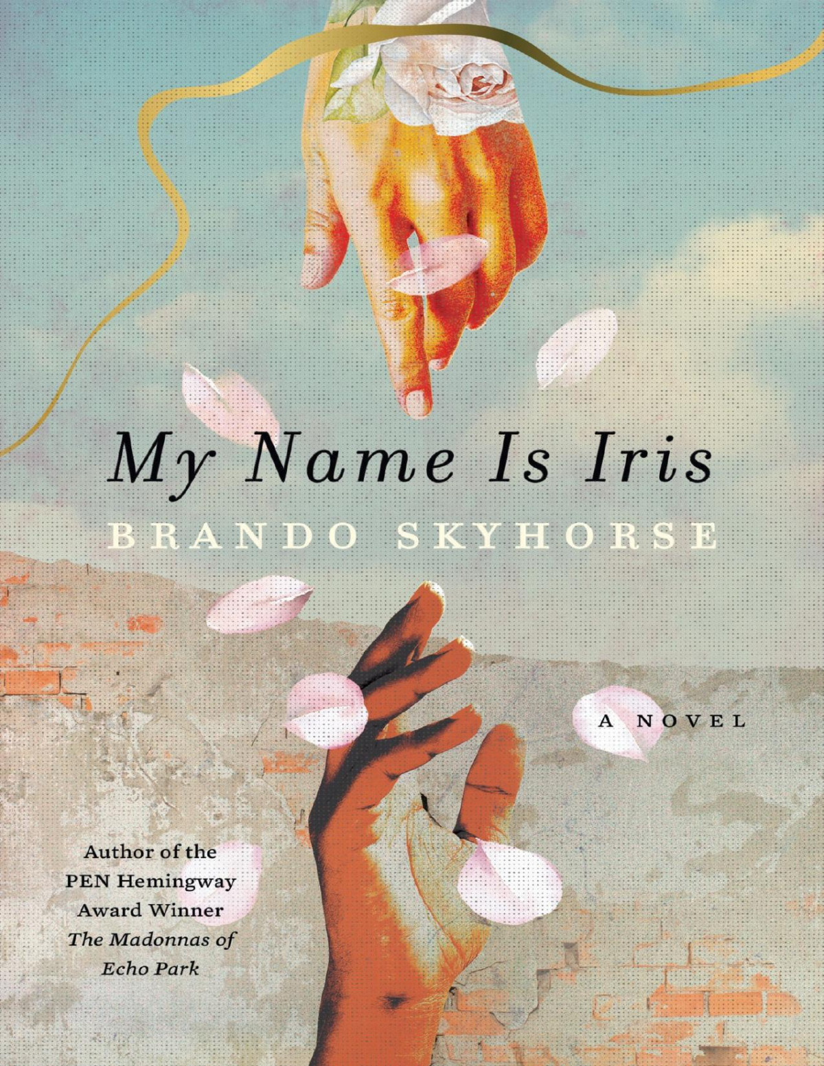 My Name Is Iris A Novel Brando Skyhorse