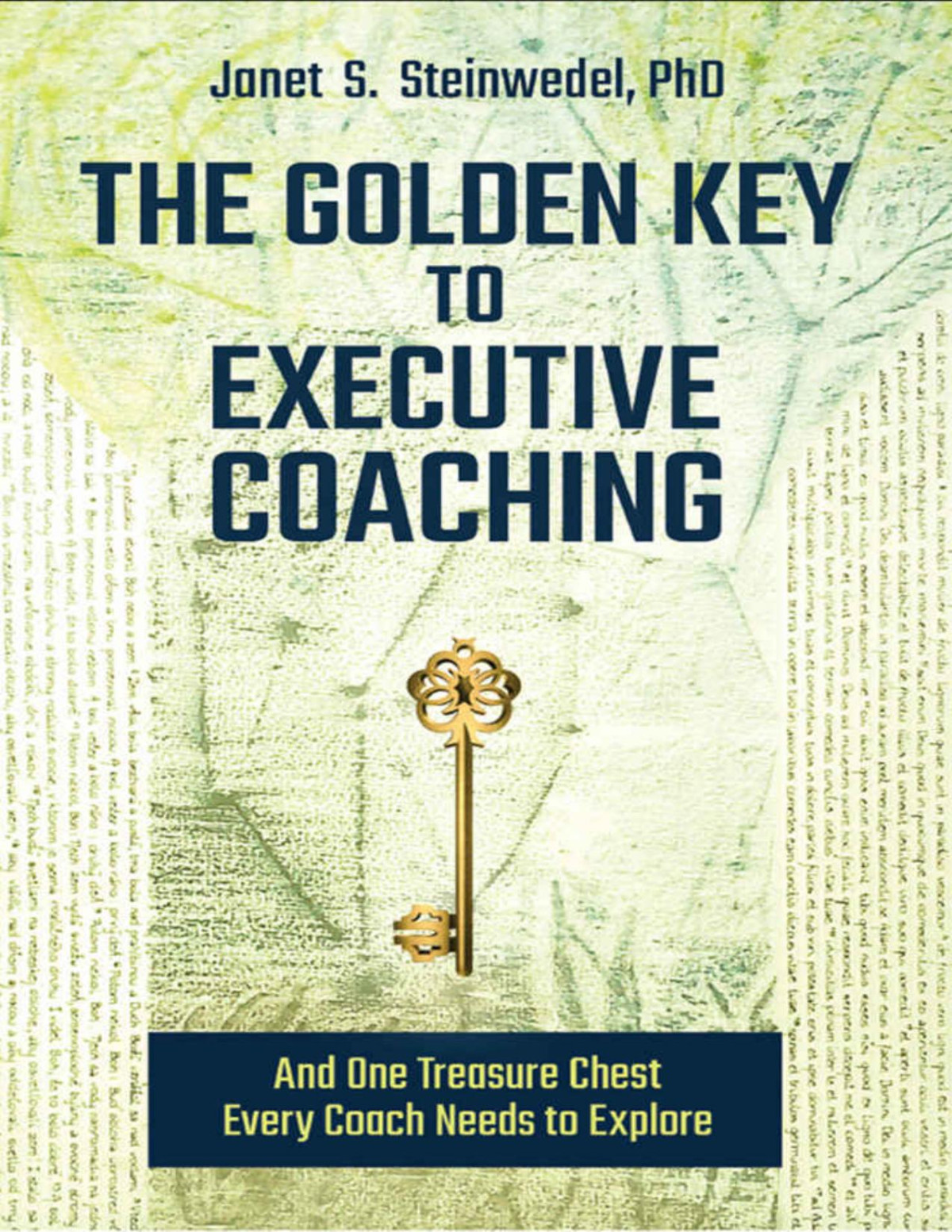 The Golden Key To Executive Coaching And One Treasure Chest Every Coach Needs To Explore Janet S Steinwedel