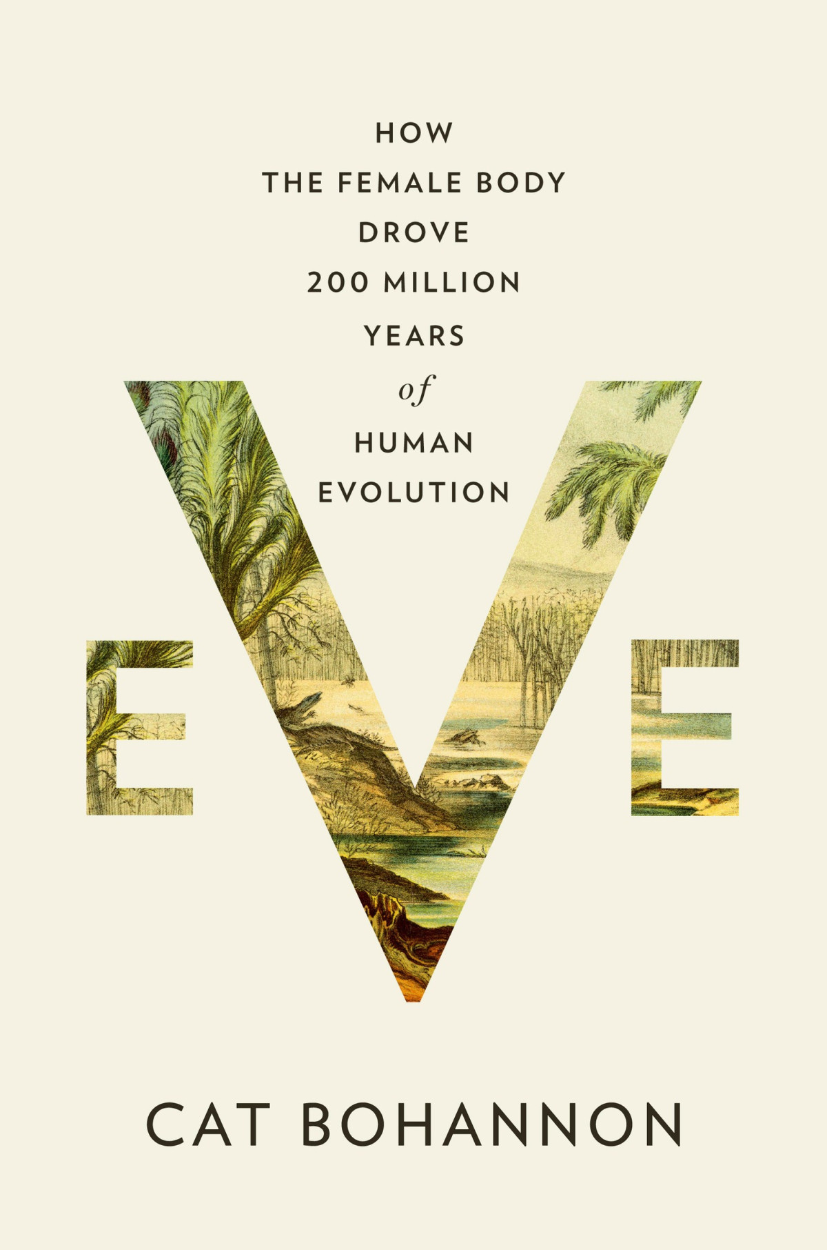 Eve How The Female Body Drove 200 Million Years Of Human Evolution Cat Bohannon