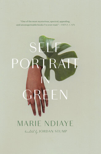 Selfportrait In Green 10th Edition Marie Ndiaye Jordan Stump Translation
