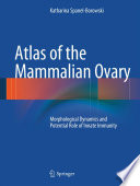 Atlas Of The Mammalian Ovary Morphological Dynamics And Potential Role Of Innate Immunity Katharina Spanelborowski