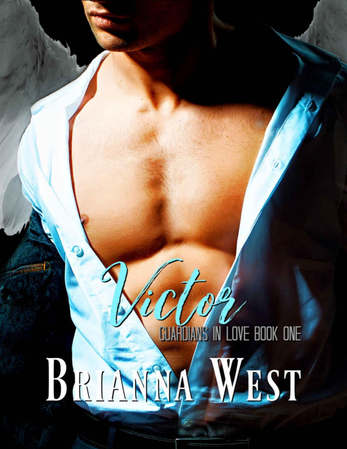 Victor Guardians In Love Book 1 Brianna West