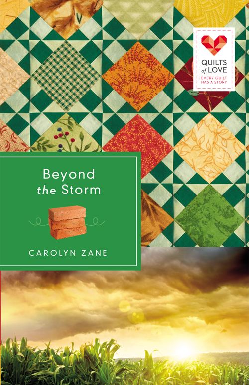 Beyond The Storm Carolyn Zane