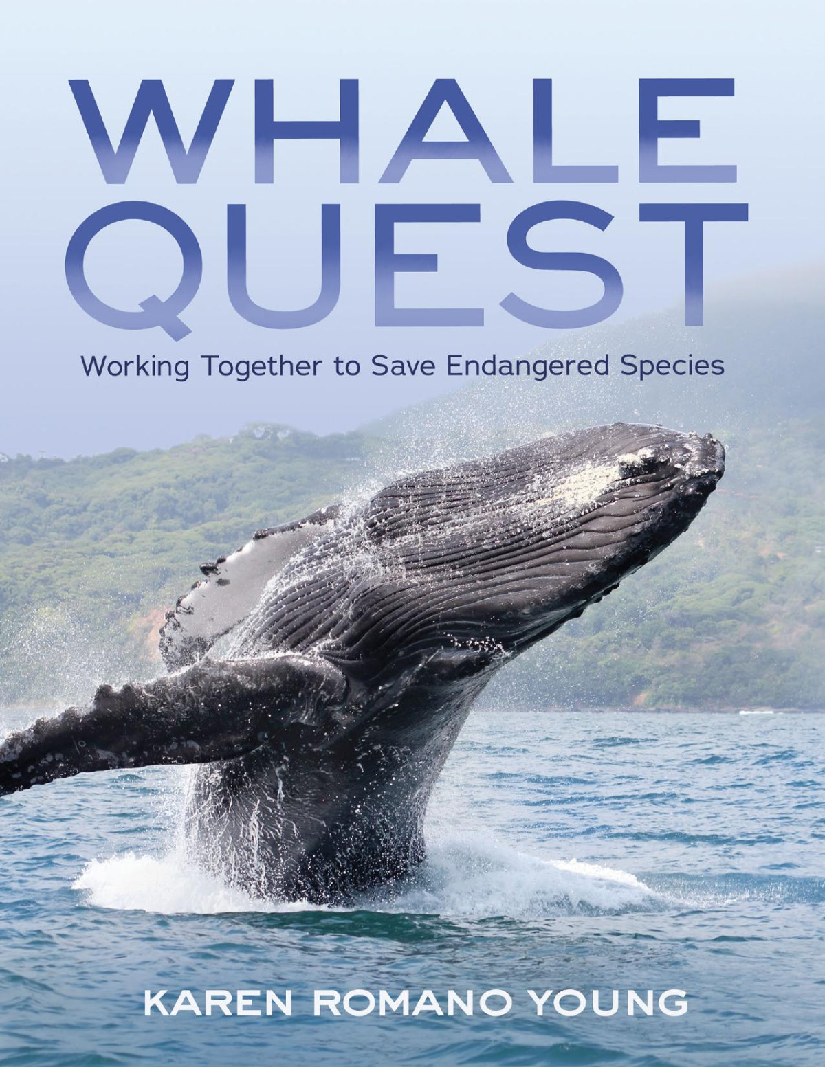 Whale Quest Karen Romano Young