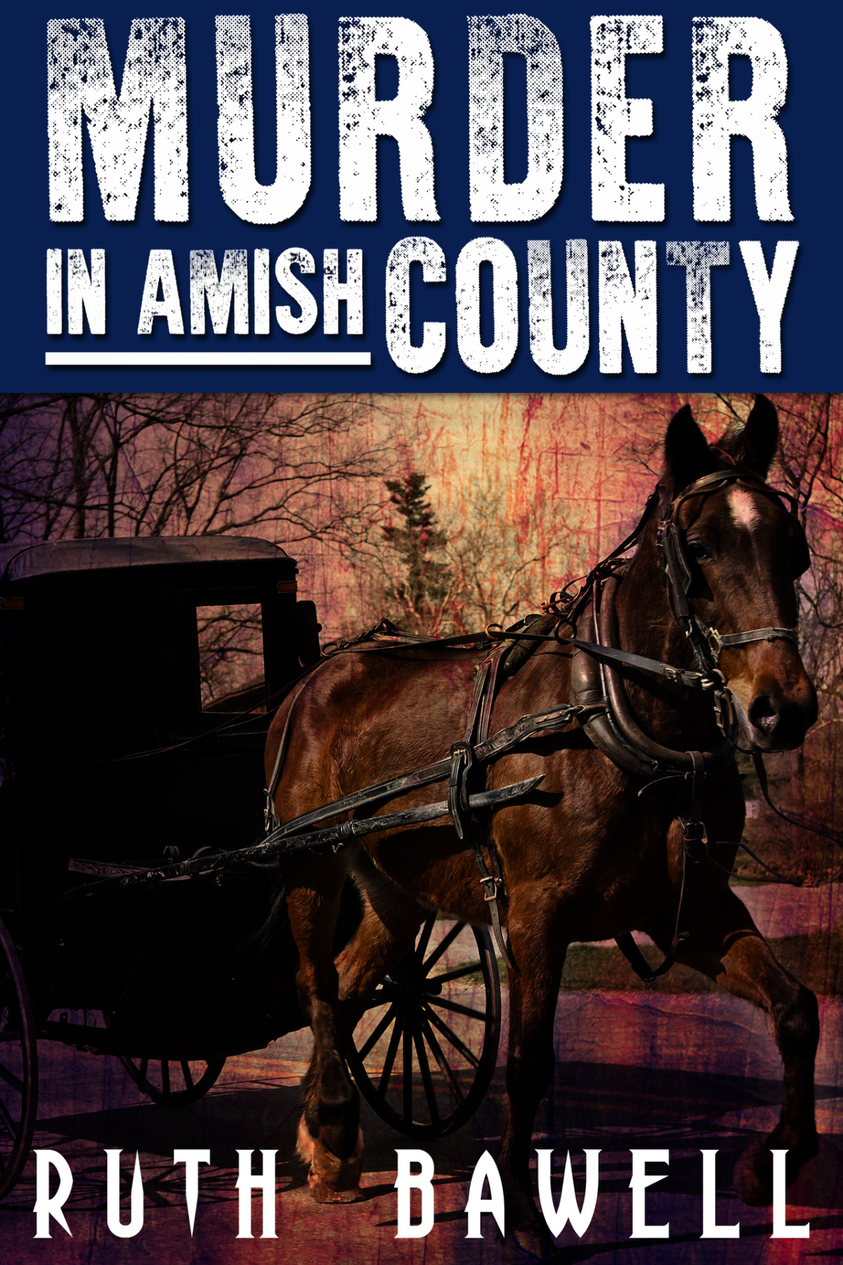 Murder In Amish County Amish Mystery And Romance Ruth Bawell