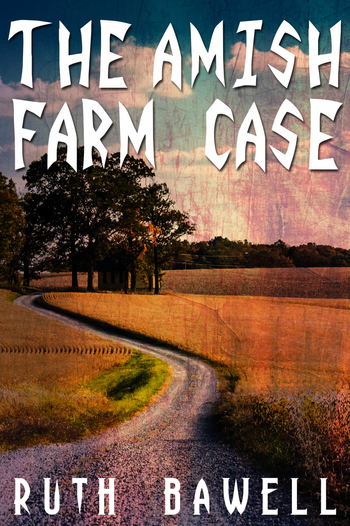 The Amish Farm Case Amish Mystery And Romance Ruth Bawell