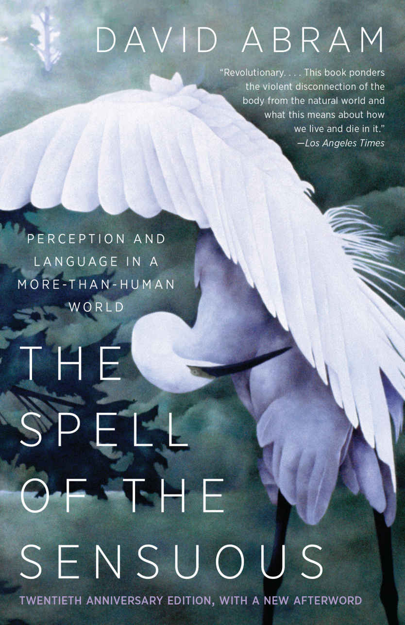 The Spell Of The Sensuous Perception And Language In A More Than Human World 20th Anniv David Abram