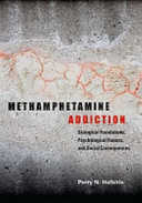 Methamphetamine Addiction Biological Foundations Psychological Factors And Social Consequences Perry N Halkitis