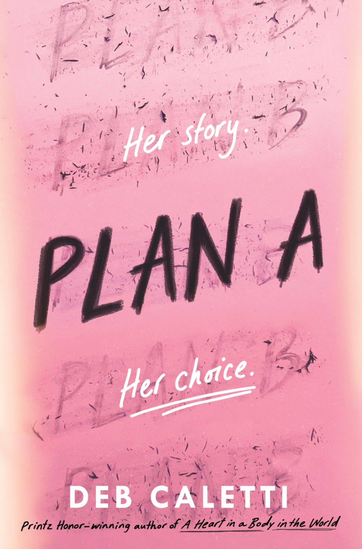 Plan A Deb Caletti