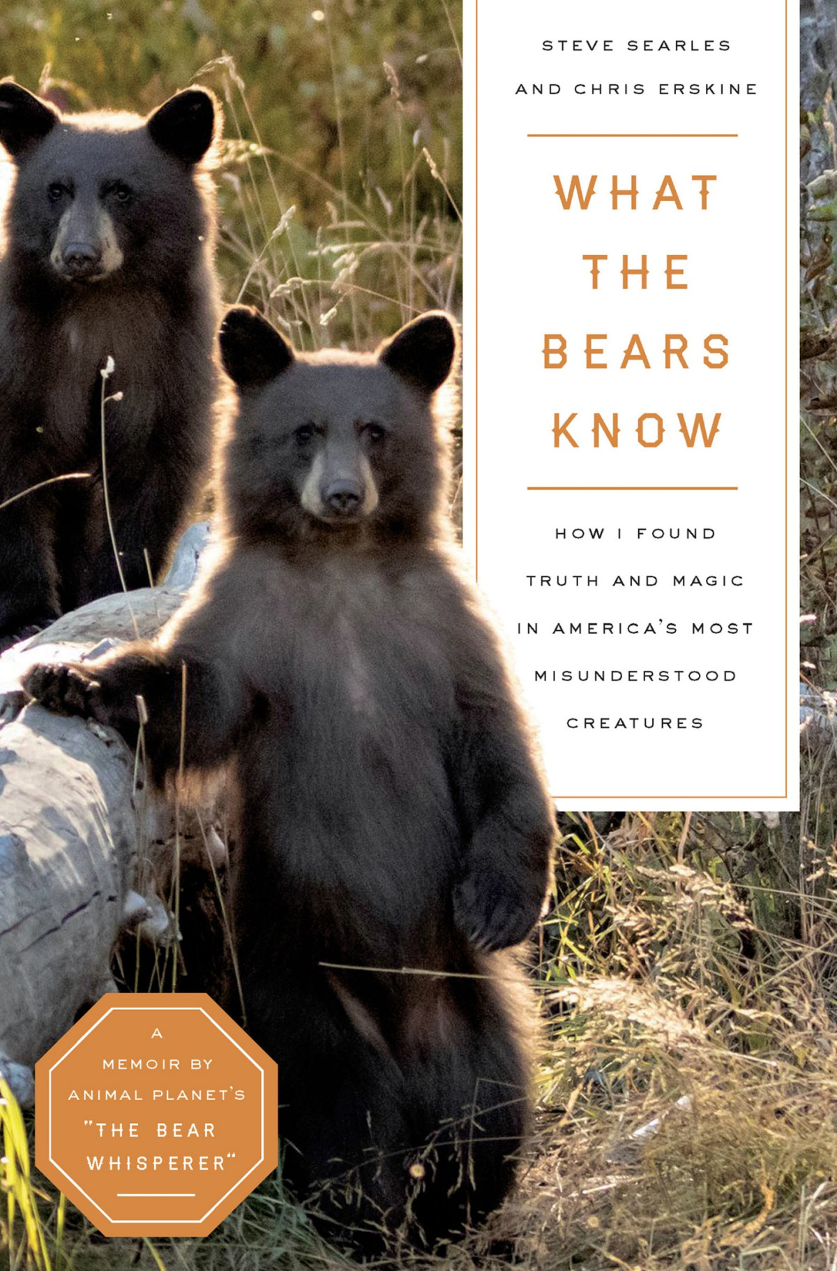 What The Bears Know How I Found Truth And Magic In Americas Most Misunderstood Creatures Steve Searles