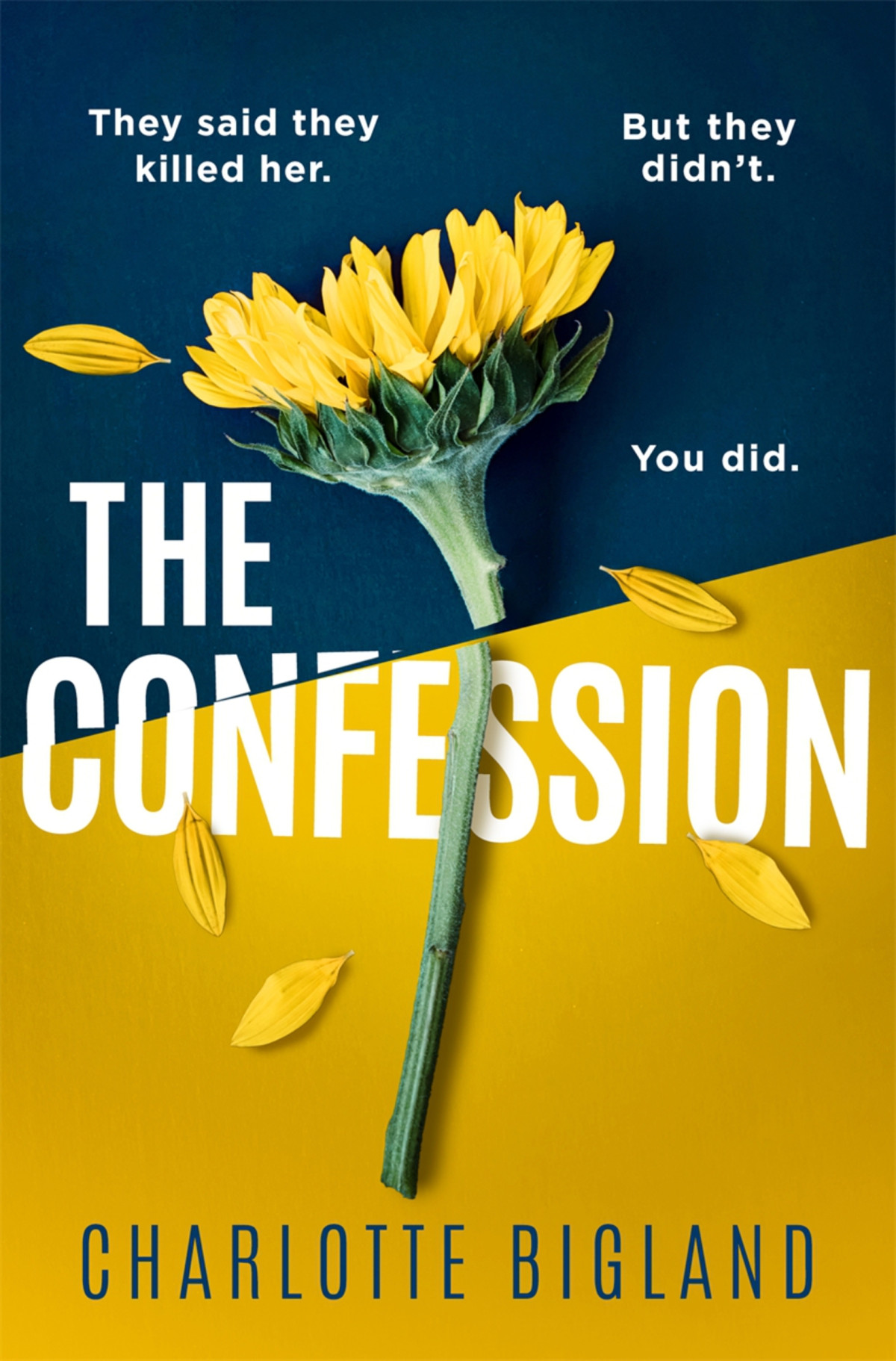 The Confession Charlotte Bigland