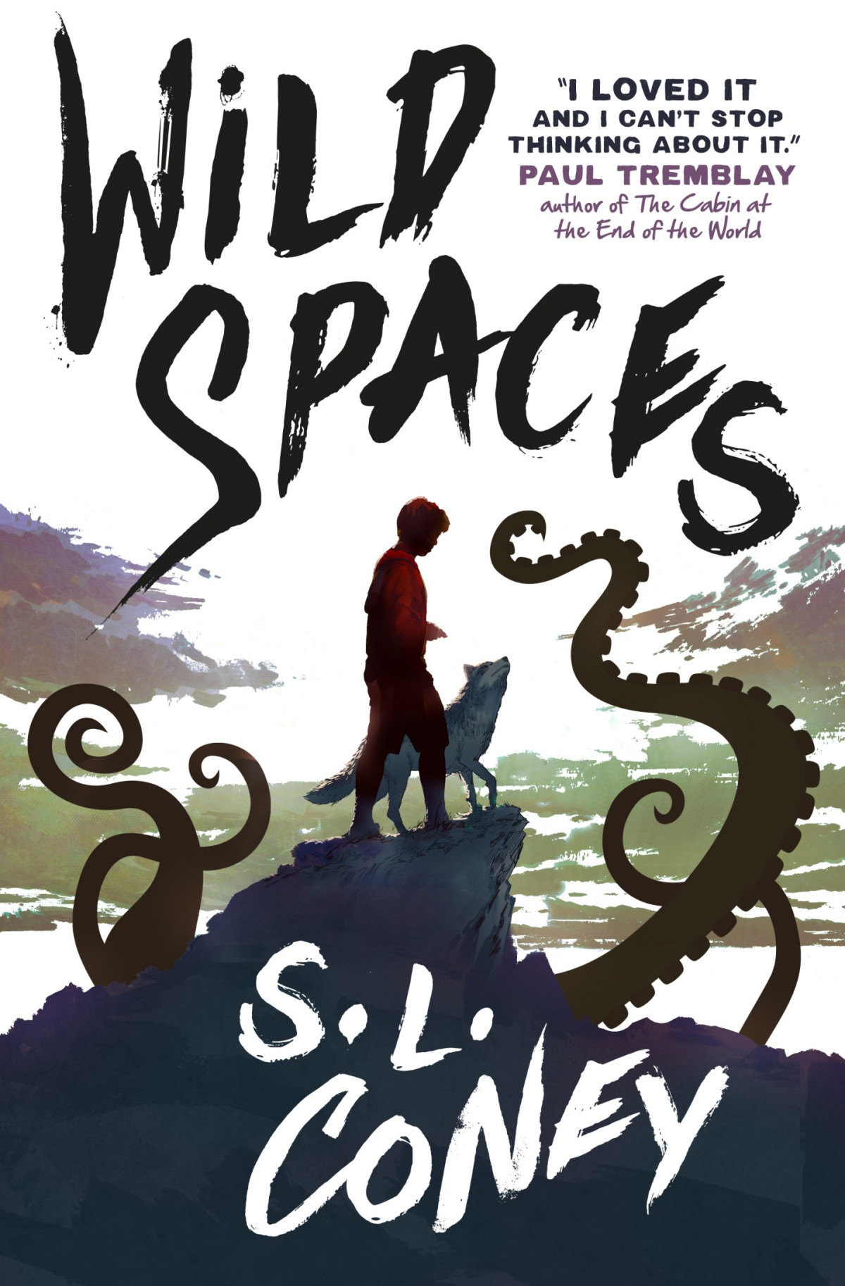 Wild Spaces 1st Edition S L Coney