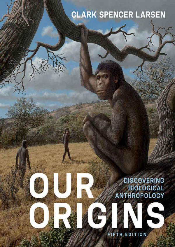Our Origins 5th Edition Clark Spencer Larsen
