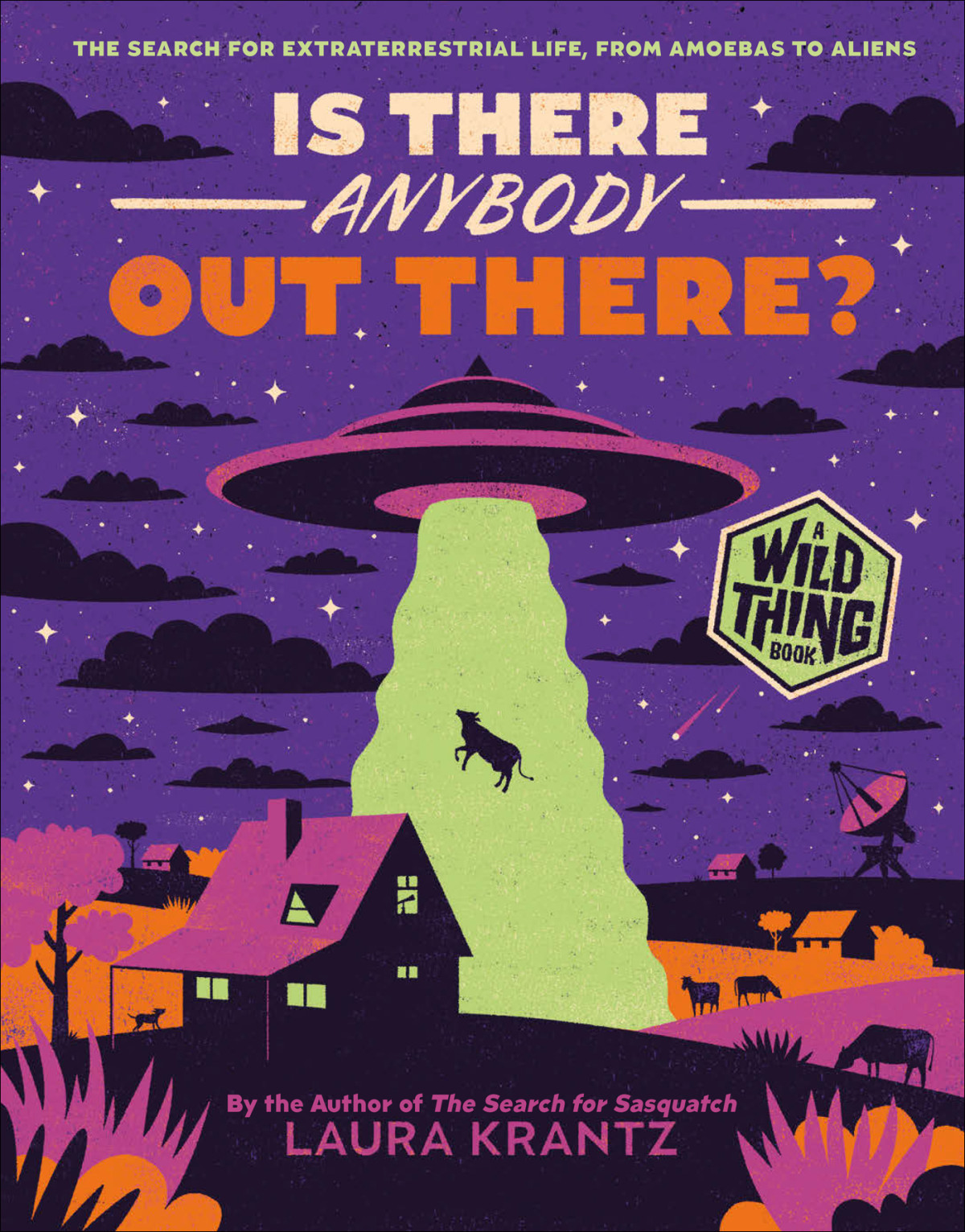 Is There Anybody Out There Laura Krantz