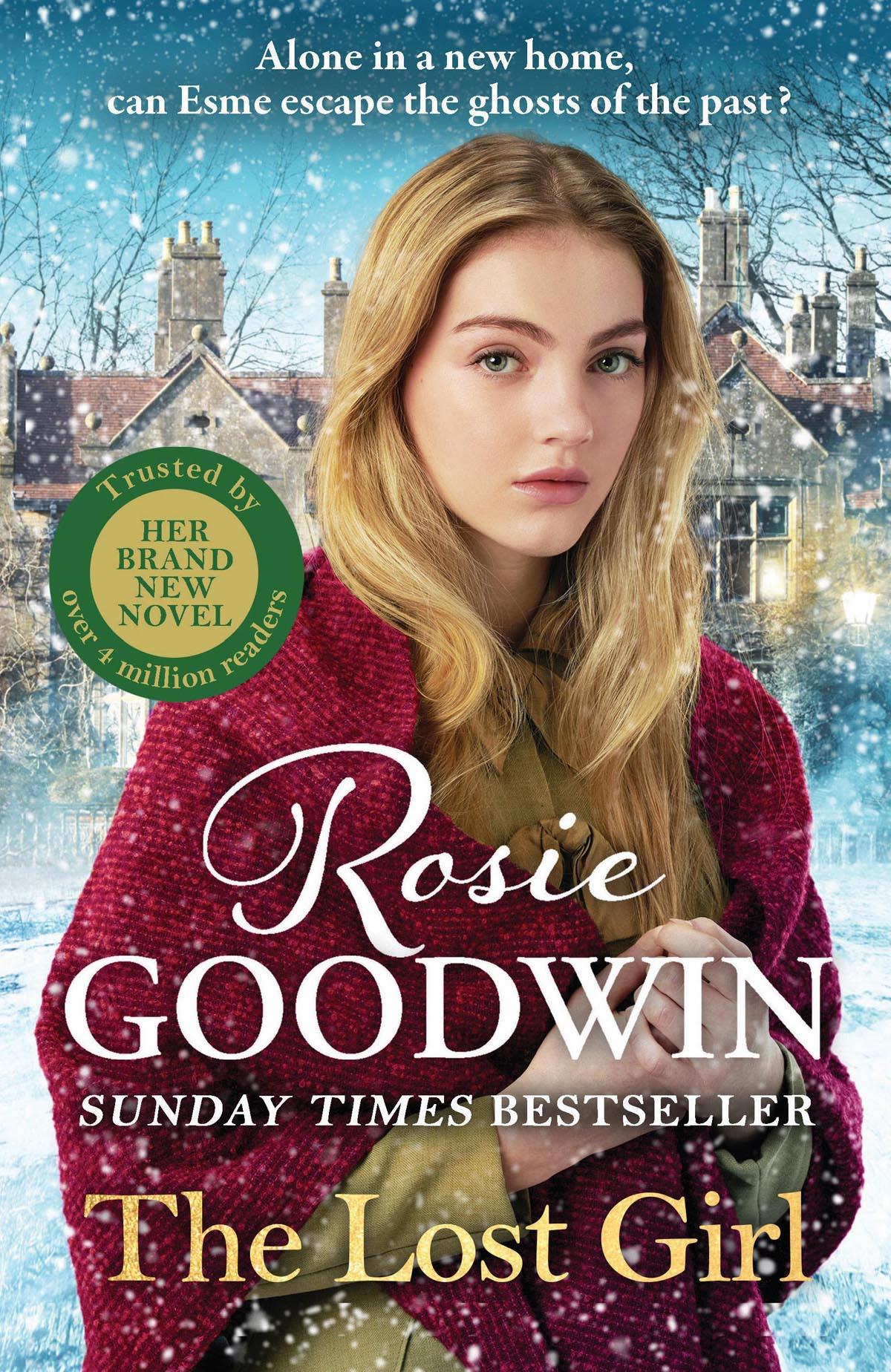 The Lost Girl 1st Edition Rosie Goodwin
