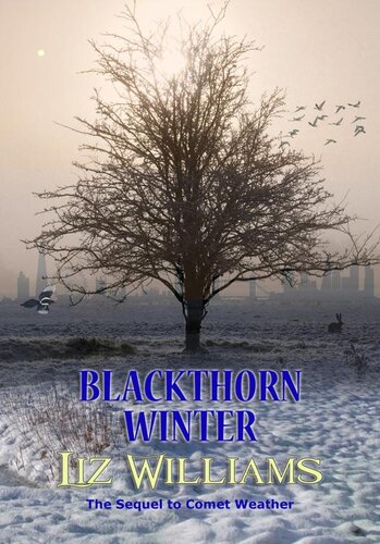 Blackthorn Winter Z Liz Williams