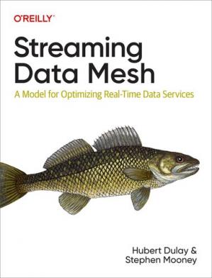 Streaming Data Mesh A Model For Optimizing Realtime Data Services 1st Edition Hubert Dulay