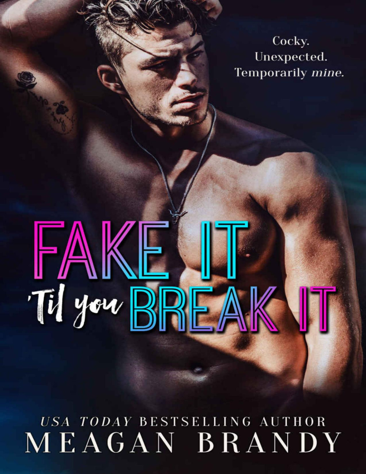 Fake It Til You Break It Meagan Brandy