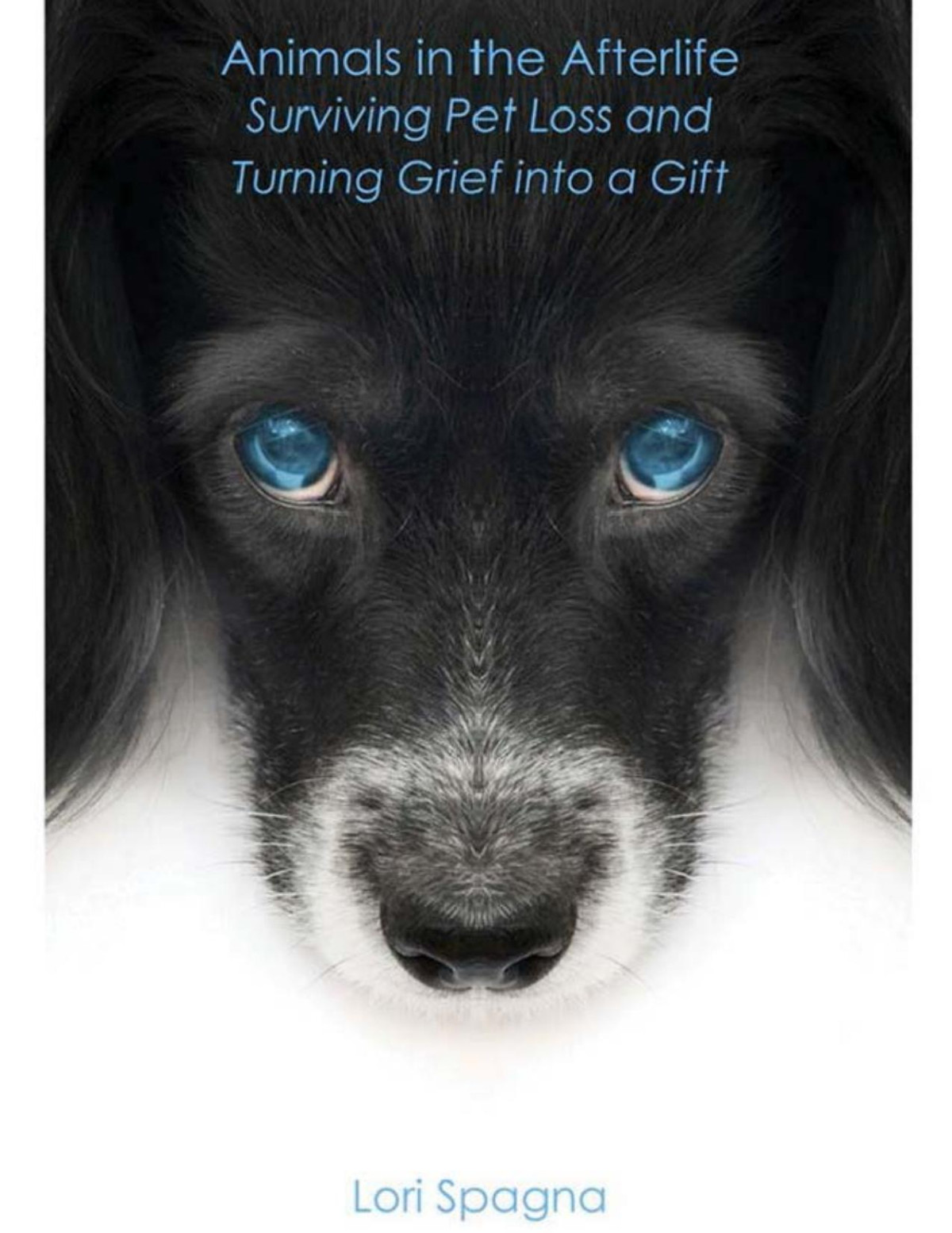 Animals In The Afterlife Surviving Pet Loss And Turning Grief Into A Gift Lori Spagna