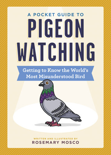 A Pocket Guide To Pigeon Watching Getting To Know The Worlds Most Misunderstood Bird Rosemary Mosco
