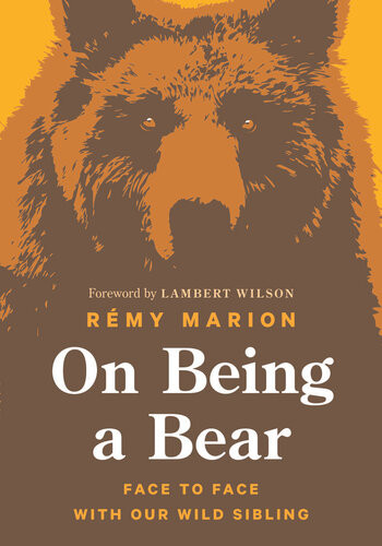 On Being A Bear Face To Face With Our Wild Sibling Rmy Marion Lambert Wilson