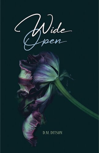 Wide Open A Love Story D M Ditson