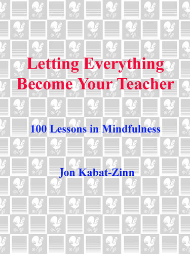 Letting Everything Become Your Teacher 100 Lessons In Mindfulness Jon Kabatzinn
