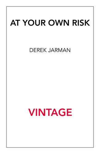 At Your Own Risk A Saints Testament Derek Jarman