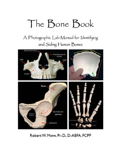 The Bone Book A Photographic Lab Manual For Identifying And Siding Human Bones Robert W Mann